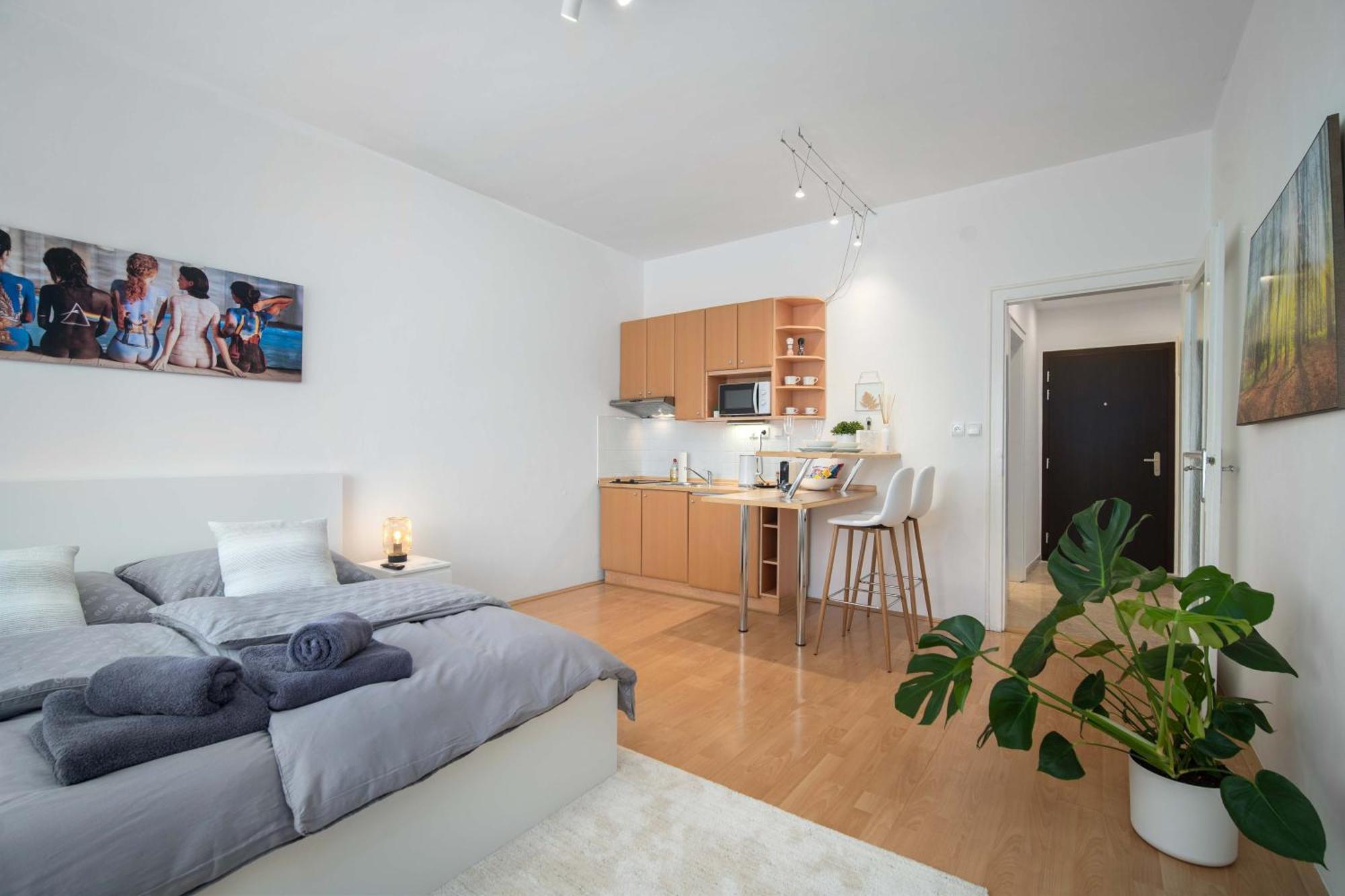 Best Location Apartment Air-Conditioned ブラチスラヴァ エクステリア 写真
