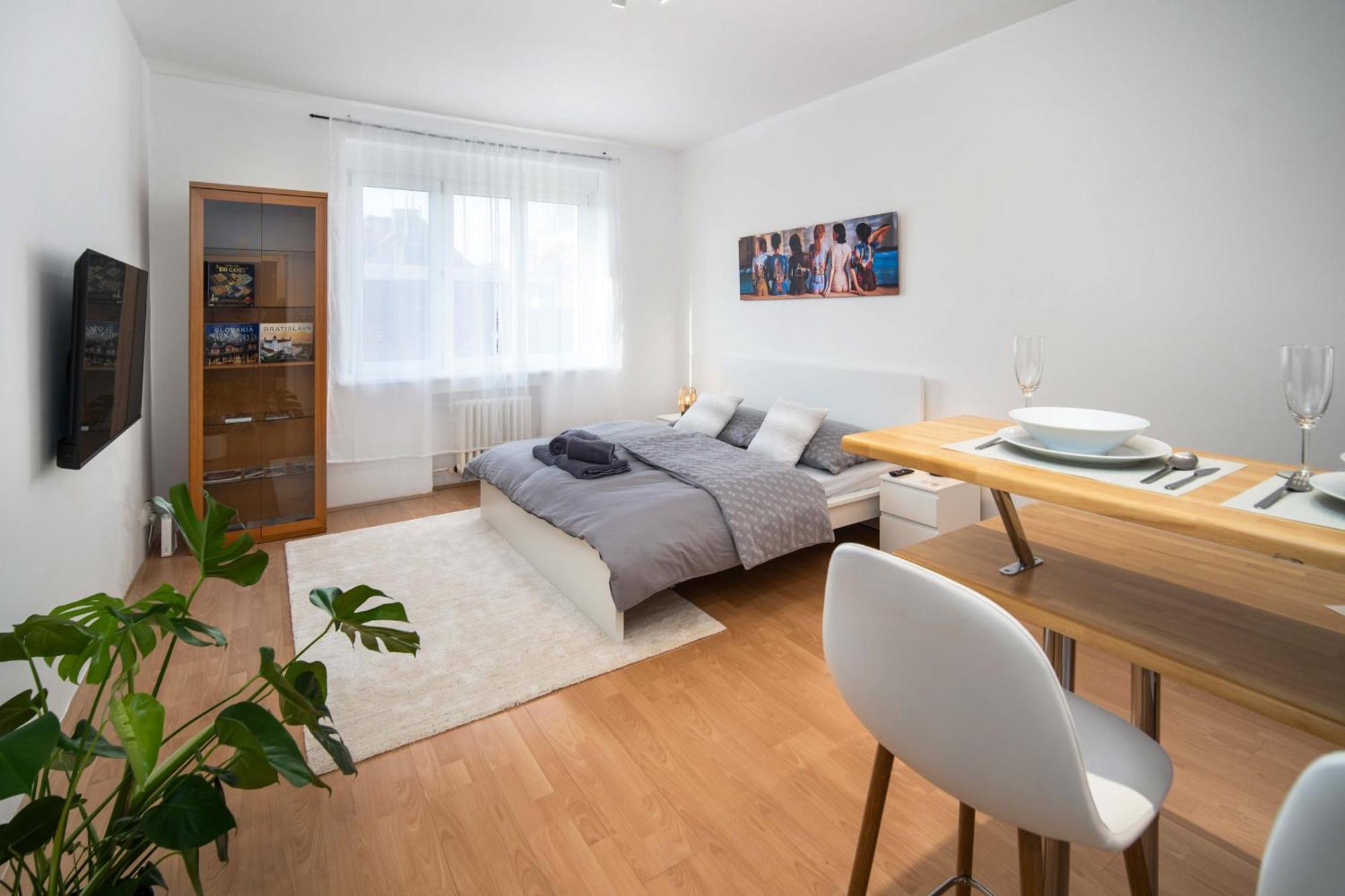 Best Location Apartment Air-Conditioned ブラチスラヴァ エクステリア 写真